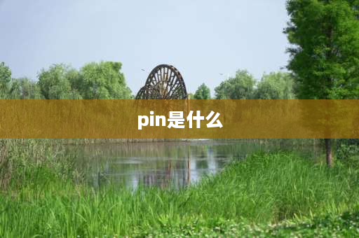 pin是什么 pin是什么单位？