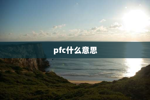 pfc什么意思 电脑电源主动PFC是什么意思？