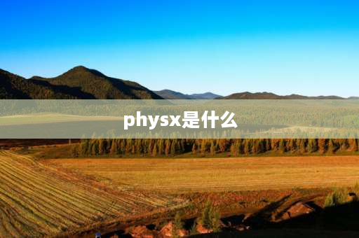 physx是什么 phyxs是什么？设置时是设置为cpu好还是显卡好？