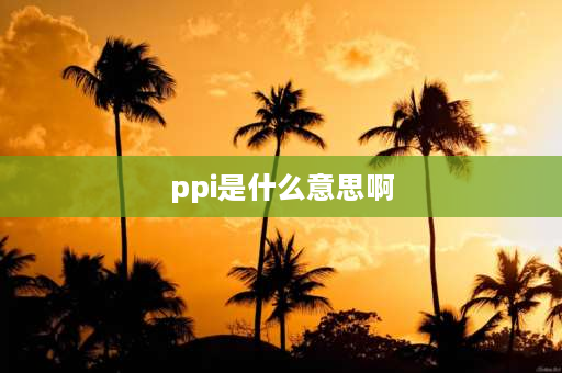 ppi是什么意思啊 CPI和PPI是什么意思？