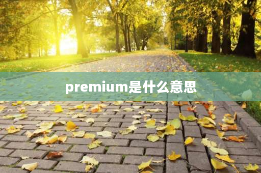 premium是什么意思 bonus和premium有什么区别？