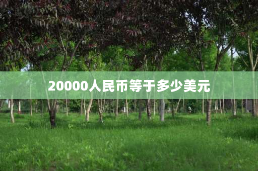 20000人民币等于多少美元 人均20000美元相当于哪个国家？