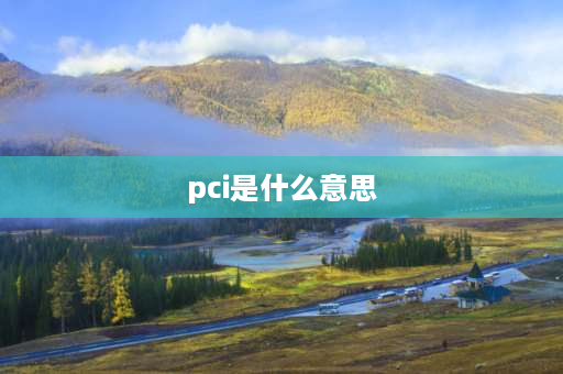 pci是什么意思 pci游戏教学是什么意思？