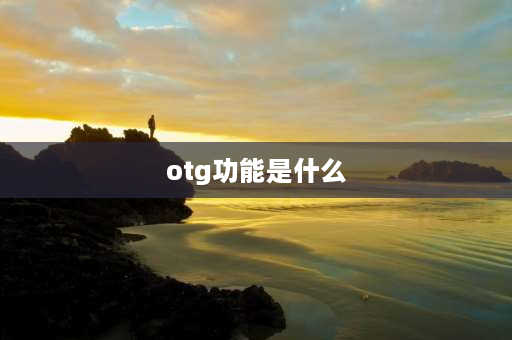 otg功能是什么 OTG功能怎么用？