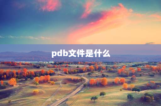 pdb文件是什么 VisualStudio中无法查找或打开PDB文件怎么办？