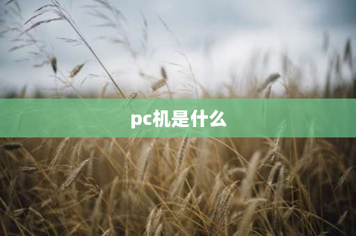 pc机是什么 通常所说的PC机是指什么？