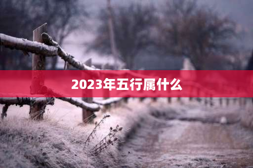 2023年五行属什么 2023年是什么兔年？