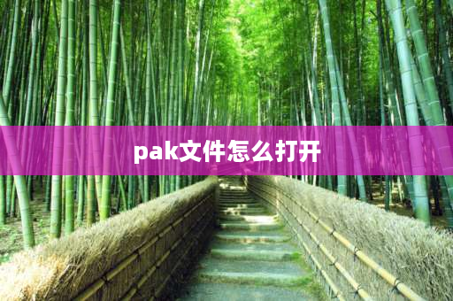 pak文件怎么打开 paks文件是什么？