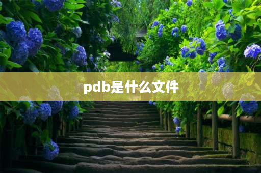 pdb是什么文件 appinfo是什么文件？