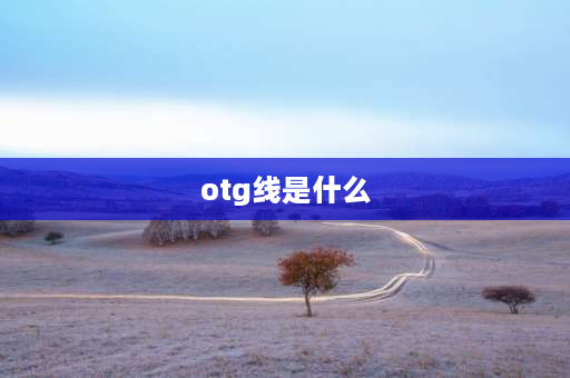 otg线是什么 otg线的作用？