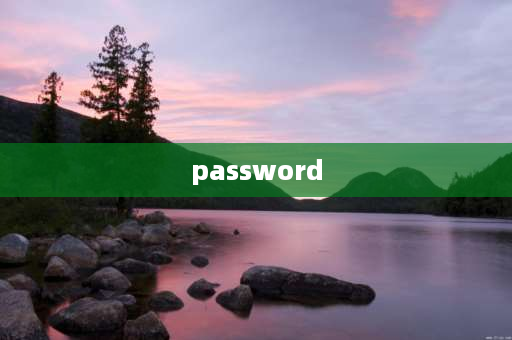 password 什么意思 password怎么填？