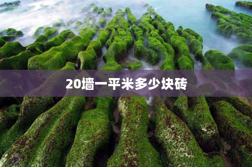 20墙一平米多少块砖 20墙一个立方多少块砖？