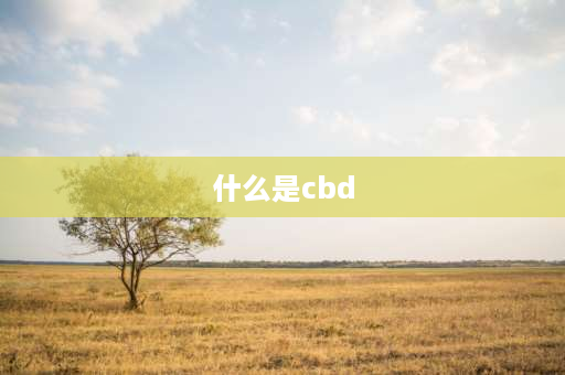 什么是cbd CBD到底是什么意思？