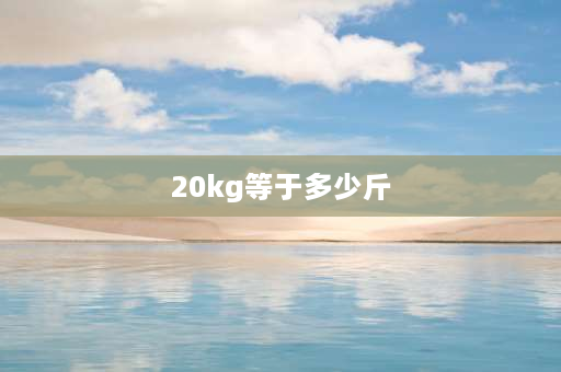 20kg等于多少斤 180公斤等于多少斤？