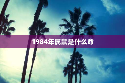 1984年属鼠是什么命 84年属什么的？