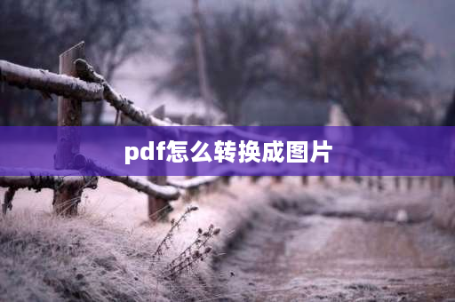 pdf怎么转换成图片 怎么把pdf文件内容都转换成图片？