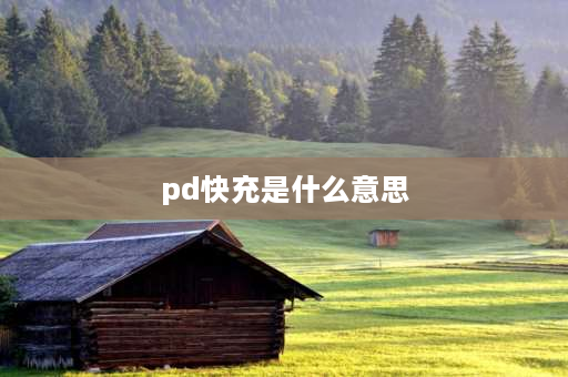 pd快充是什么意思 pd闪充是啥意思？