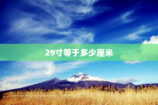 29寸等于多少厘米 周长29厘米是几寸？