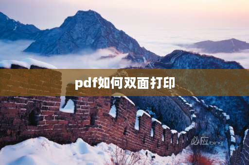 pdf如何双面打印 PDF一页文件怎么打印到两页上？