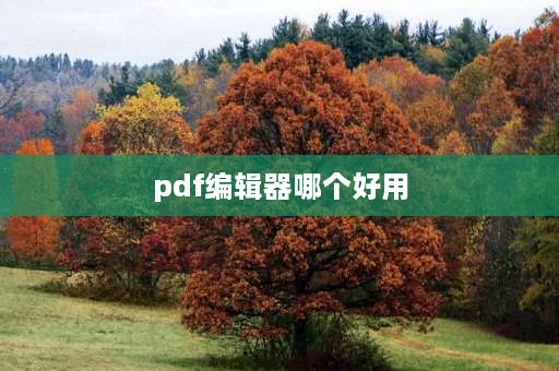 pdf编辑器哪个好用 pdf猫编辑器如何转换文件格式？