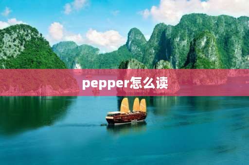 pepper怎么读 黑色的英文单词怎么写？