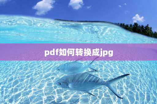 pdf如何转换成jpg 怎样将PDF文件转换成图片？