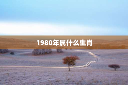 1980年属什么生肖 1980-2000年属相？