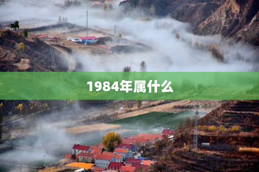 1984年属什么 1984年有属猪的吗？