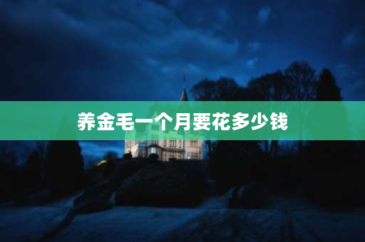 养金毛一个月要花多少钱 一个月收入一千养得起金毛吗？