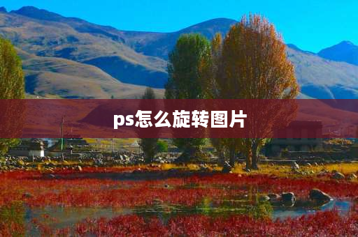 ps怎么旋转图片 ps怎么把侧着图片转正？