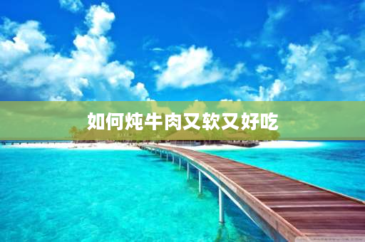 如何炖牛肉又软又好吃 冻牛肉怎么煮又嫩又烂？