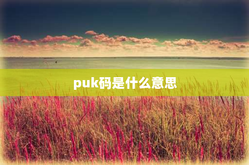 puk码是什么意思 什么是puk码？