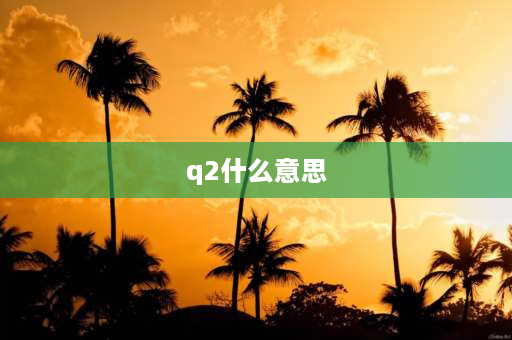 q2什么意思 签证种类q2是什么意思？