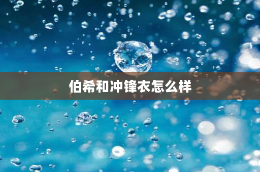 伯希和冲锋衣怎么样 伯希和jeep哪个牌子冲锋衣好？