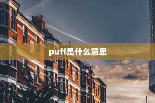 puff是什么意思 泡芙什么意思？