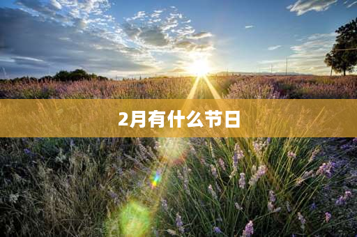 2月有什么节日 2月2都有哪些节日？