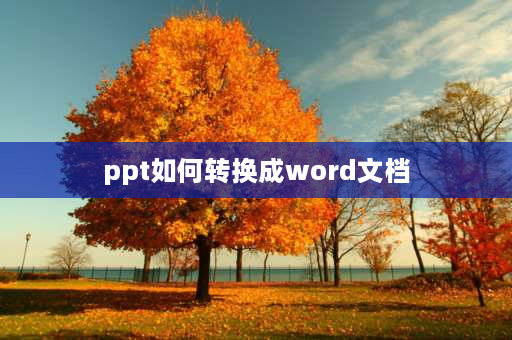 ppt如何转换成word文档 ppt怎么转word？