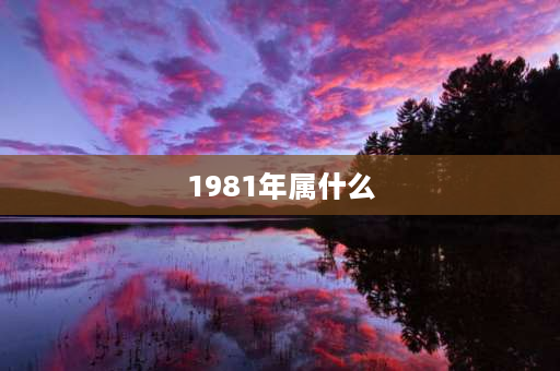 1981年属什么 2001年到1981年各属什么属相？