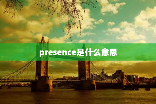 presence是什么意思 presence记忆方法？