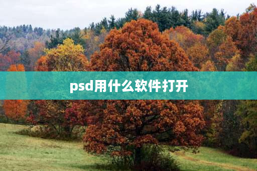 psd用什么软件打开 psd是什么文件？psd文件用什么软件打开查看？