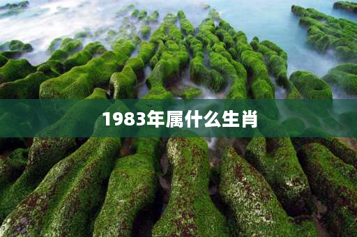 1983年属什么生肖 83年虚岁？