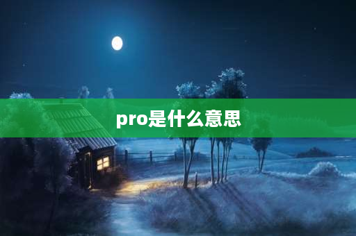 pro是什么意思 pro是什么意思啊？