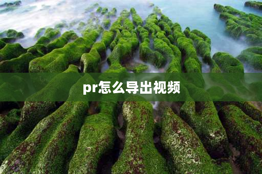 pr怎么导出视频 pr怎么导出剪好的视频？