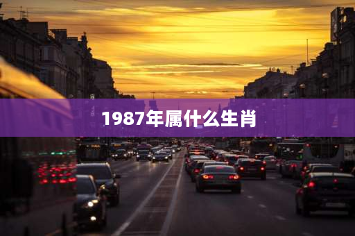 1987年属什么生肖 1987年什么兔？