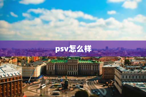 psv怎么样 psvane电子管怎么样？