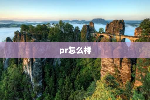 pr怎么样 pr用鼠标好还是？