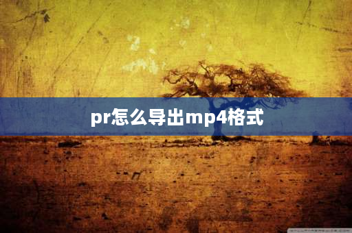 pr怎么导出mp4格式 mp4视频怎么导出来？