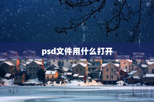 psd文件用什么打开 psd怎么预览模式？