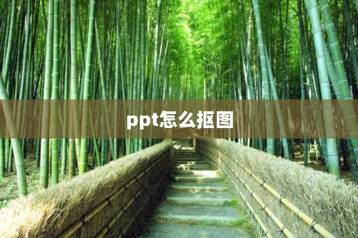 ppt怎么抠图 ppt如何去掉不要的部分？