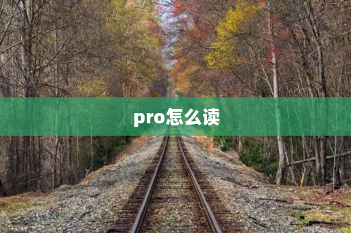 pro怎么读 华为nova8pro读音及意思？